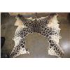 Image 1 : GIRAFFE Back and Leg Hide