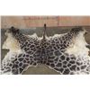 Image 2 : GIRAFFE Back and Leg Hide