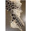 Image 3 : GIRAFFE Back and Leg Hide