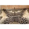 Image 5 : GIRAFFE Back and Leg Hide