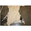 Image 7 : GIRAFFE Back and Leg Hide