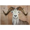 Image 4 : Life-sized STONE SHEEP on a Rocky Base with Wheels