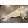 Image 7 : CROCODILE Hide with its Mounted Head