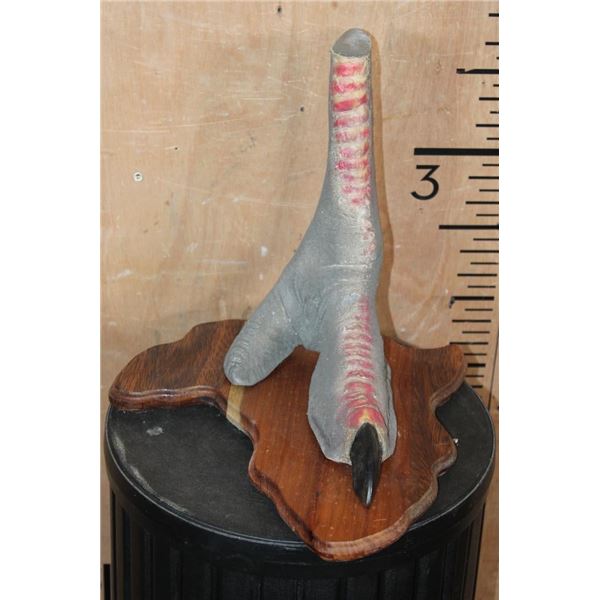 *Real Skin" OSTRICH Foot Mounted on a Wood Africa Silhouette Plaque