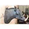 Image 5 : WARTHOG Shoulder Mount