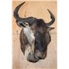 Image 2 : WHITE BEARDED GNU Wall Pedestal Mount