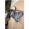 Image 4 : WHITE BEARDED GNU Wall Pedestal Mount