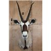 Image 1 : GEMSBOK Shoulder Mount
