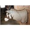 Image 5 : GEMSBOK Shoulder Mount