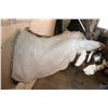 Image 6 : GEMSBOK Shoulder Mount