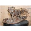 Image 2 : Leadwood Carving of Elephants signed "T. Tshuma"