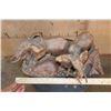 Image 9 : Leadwood Carving of Elephants signed "T. Tshuma"