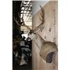 Image 4 : Big 11-Point MULE DEER Wall Pedestal