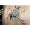 Image 3 : Life-sized BOBCAT on a Branch Wall Hanging Base