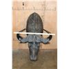 Image 2 : CAPE BUFFALO Shoulder Mount