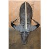 Image 5 : CAPE BUFFALO Shoulder Mount