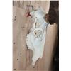 Image 4 : XXL 12-Point ELK Skull