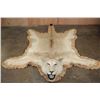 Image 1 : *TEXAS RESIDENTS ONLY* AFRICAN LIONESS Hide Rug with its Mounted Head, Paws, and All the Claws