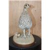 Image 2 : Life-sized SHARP-TAILED GROUSE on a Natural Base