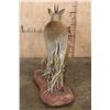 Image 7 : Life-sized COMMON DUIKER on a Natural Base