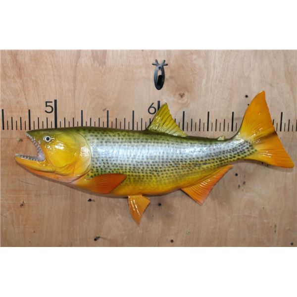 Reproduction GOLDEN DORADO Fish Mount