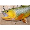 Image 3 : Reproduction GOLDEN DORADO Fish Mount