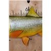 Image 4 : Reproduction GOLDEN DORADO Fish Mount