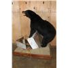 Image 5 : Life-sized BLACK BEAR with a Bee Box on a Wood Base