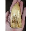 Image 1 : Antique SPERM WHALE Tooth with Scrimshaw of a Whaling Ship