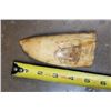 Image 2 : Antique SPERM WHALE Tooth with Scrimshaw of a Whaling Ship