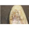 Image 4 : Antique SPERM WHALE Tooth with Scrimshaw of a Whaling Ship