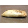 Image 7 : Antique SPERM WHALE Tooth with Scrimshaw of a Whaling Ship