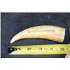 Image 14 : Antique SPERM WHALE Tooth Scrimshawed with a Whaling Ship and Phrase