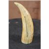 Image 6 : Antique SPERM WHALE Tooth Scrimshawed with a Whaling Ship and Phrase
