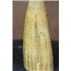 Image 8 : Antique SPERM WHALE Tooth Scrimshawed with a Whaling Ship and Phrase