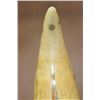 Image 9 : Antique SPERM WHALE Tooth Scrimshawed with a Whaling Ship and Phrase