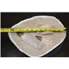 Image 2 : 2 XL Fully Rooted MOSASAUR Teeth Fossils and Vertebrae Bones in a Fossil Matrix, Weight: 9 lbs