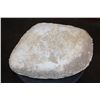 Image 6 : 2 XL Fully Rooted MOSASAUR Teeth Fossils and Vertebrae Bones in a Fossil Matrix, Weight: 9 lbs