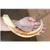 Image 2 : Huge XXL Set of WARTHOG Tusks