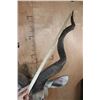 Image 5 : Big KUDU Shoulder Mount