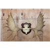 Image 1 : 20-Point MOOSE Rack Euro-cut Skull Cap on a Wood Plaque