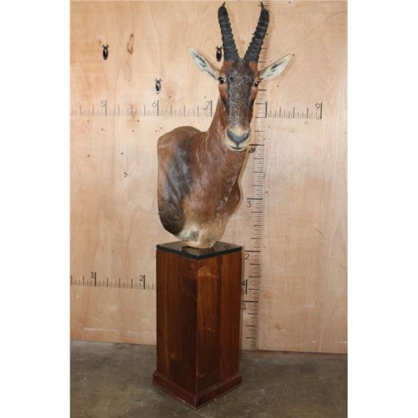 Big TOPI Pedestal Mount