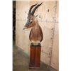 Image 2 : Big TOPI Pedestal Mount