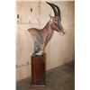 Image 3 : Big TOPI Pedestal Mount