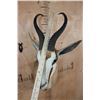 Image 5 : SPRINGBOK Shoulder Mount with a Square Female Pedestal Receiver