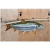 Image 2 : Reproduction AFRICAN TIGERFISH Mount