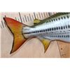 Image 5 : Reproduction AFRICAN TIGERFISH Mount
