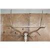 Image 7 : XL 12-Point ELK Skull on a Wood Plaque