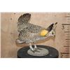 Image 2 : Greater PRAIRIE CHICKEN on a Natural Base