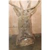 Image 6 : *TEXAS RESIDENTS ONLY* BARASINGHA Shoulder Mount